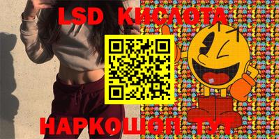 прущие грибы Нижний Тагил