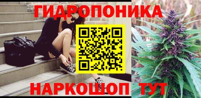 прущие грибы Нижний Тагил