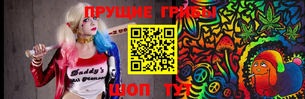 Псилоцибиновые грибы Psilocybe Альметьевск